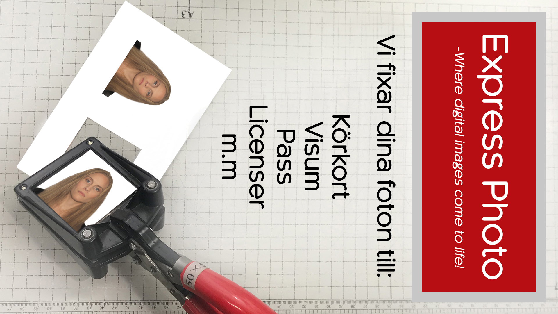 ex_6.jpg